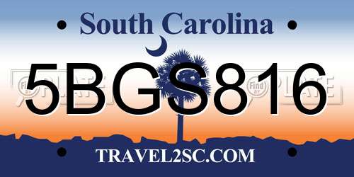 5BGS816 South Carolina License Plate