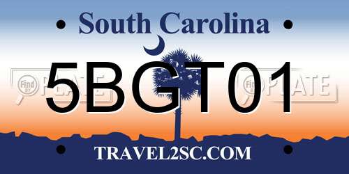 5BGT01 South Carolina License Plate