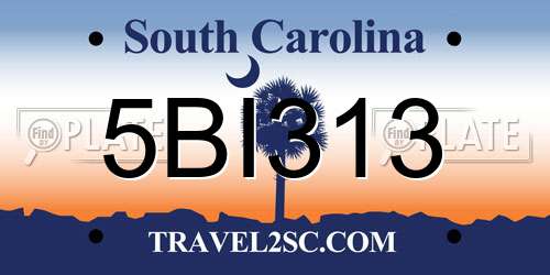 5BI313 South Carolina License Plate