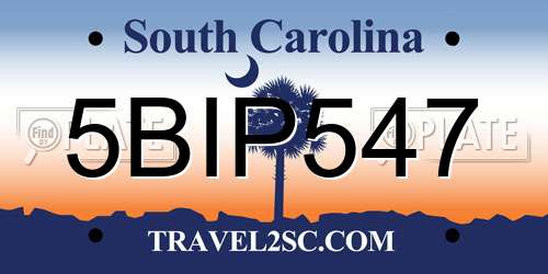 5BIP547 South Carolina License Plate
