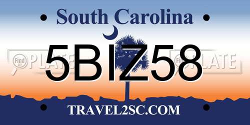 5BIZ58 South Carolina License Plate