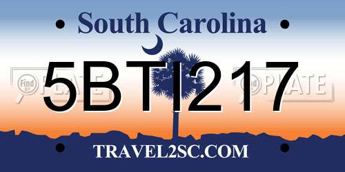 5BTI217 South Carolina License Plate