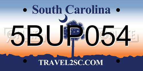 5BUP054 South Carolina License Plate