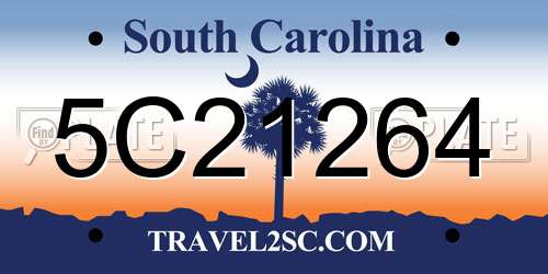 5C21264 South Carolina License Plate