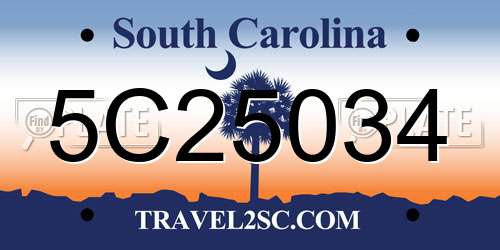 5C25034 South Carolina License Plate