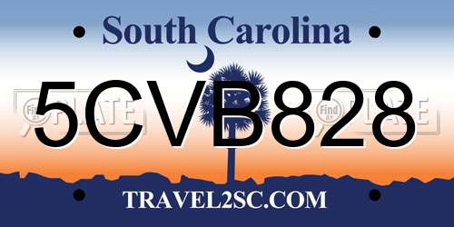 5CVB828 South Carolina License Plate