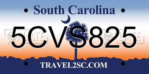 5CVS825 South Carolina License Plate