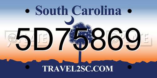 5D75869 South Carolina License Plate