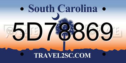 5D78869 South Carolina License Plate