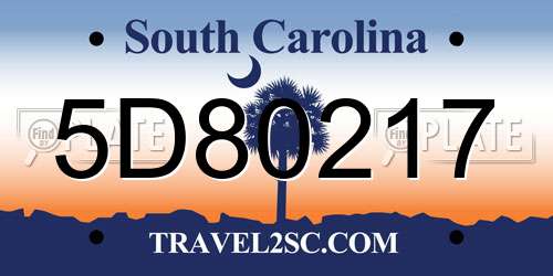 5D80217 South Carolina License Plate