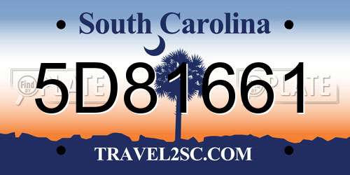 5D81661 South Carolina License Plate