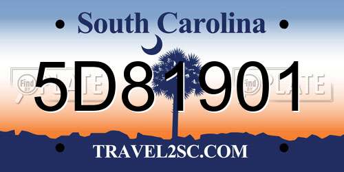 5D81901 South Carolina License Plate