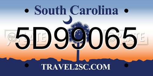 5D99065 South Carolina License Plate