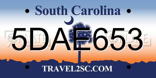 5DAE653 South Carolina License Plate