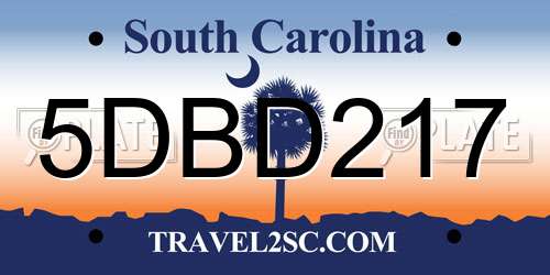 5DBD217 South Carolina License Plate