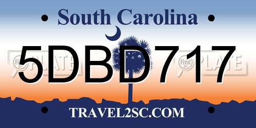 5DBD717 South Carolina License Plate