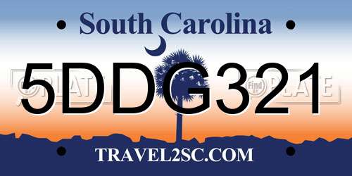 5DDG321 South Carolina License Plate
