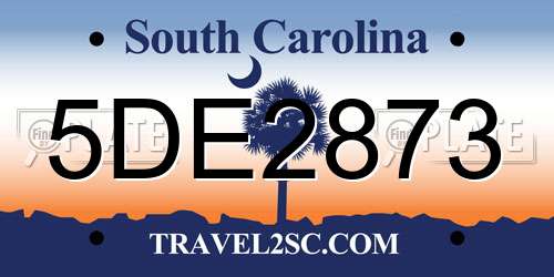 5DE2873 South Carolina License Plate