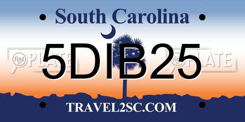 5DIB25 South Carolina License Plate