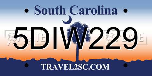 5DIW229 South Carolina License Plate