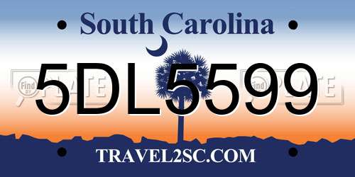 5DL5599 South Carolina License Plate