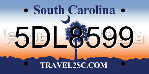 5DL8599 South Carolina License Plate