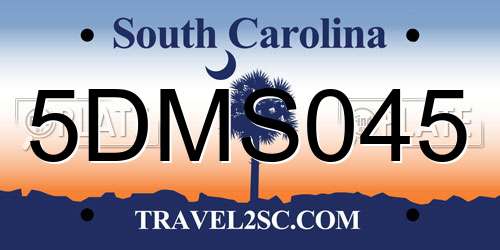 5DMS045 South Carolina License Plate