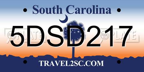 5DSD217 South Carolina License Plate
