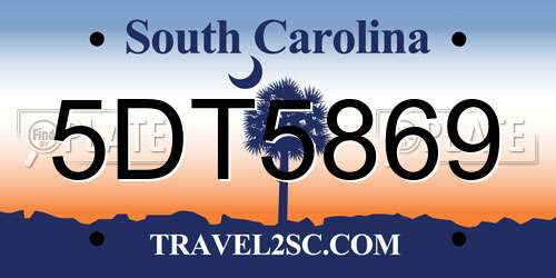5DT5869 South Carolina License Plate