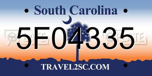 5F04335 South Carolina License Plate