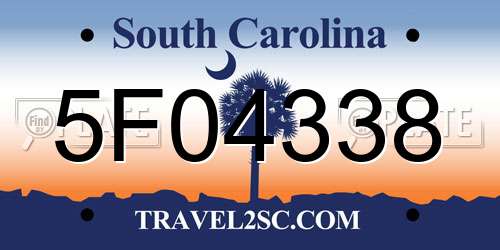 5F04338 South Carolina License Plate