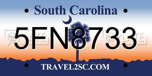 5FN8733 South Carolina License Plate