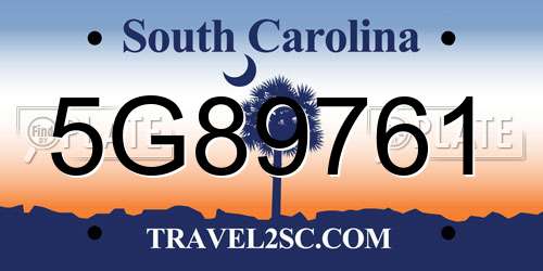 5G89761 South Carolina License Plate