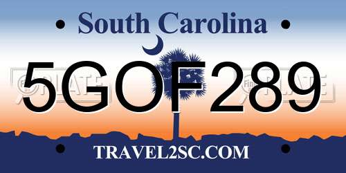 5GOF289 South Carolina License Plate