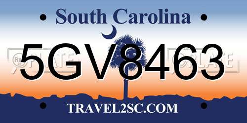 5GV8463 South Carolina License Plate