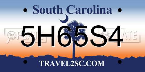 5H65S4 South Carolina License Plate