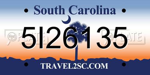 5I26135 South Carolina License Plate