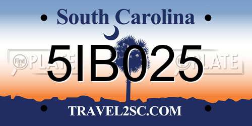 5IB025 South Carolina License Plate