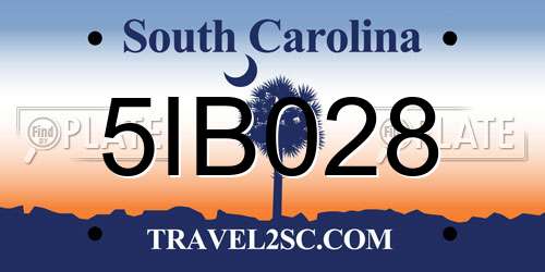 5IB028 South Carolina License Plate