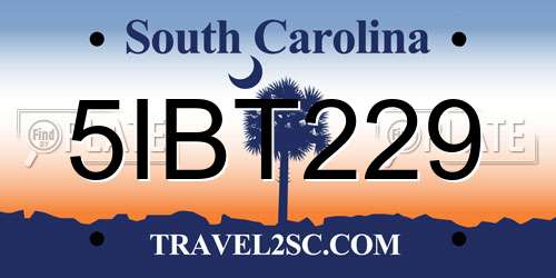 5IBT229 South Carolina License Plate