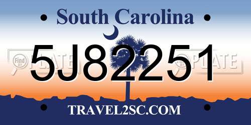 5J82251 South Carolina License Plate