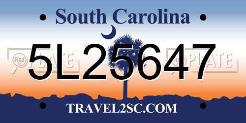 5L25647 South Carolina License Plate
