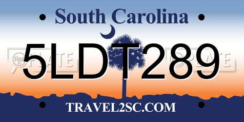 5LDT289 South Carolina License Plate