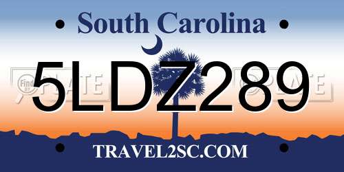5LDZ289 South Carolina License Plate