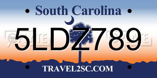 5LDZ789 South Carolina License Plate