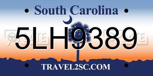 5LH9389 South Carolina License Plate