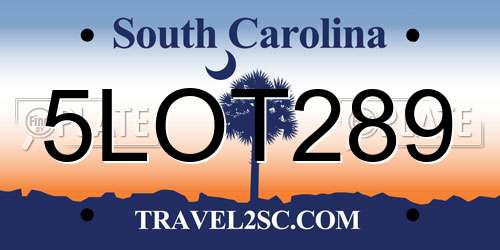 5LOT289 South Carolina License Plate