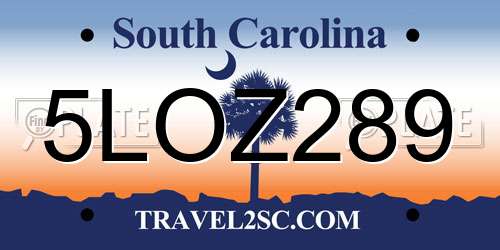 5LOZ289 South Carolina License Plate