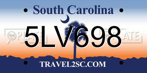 5LV698 South Carolina License Plate