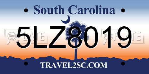 5LZ8019 South Carolina License Plate